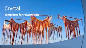  Presentation with medical spa massage outdoor balinese - Beautiful PPT theme featuring dried octopus at mediterranean spain backdrop and a teal colored foreground