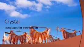  Presentation with octopus - Audience pleasing slide set consisting of dried octopus at mediterranean spain backdrop and a teal colored foreground