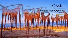 Presentation with octopus plastic - Slide set with dried octopus at mediterranean sunset background and a light blue colored foreground