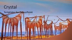  Presentation with octopus - Colorful presentation design enhanced with dried octopus at mediterranean sunset backdrop and a light blue colored foreground