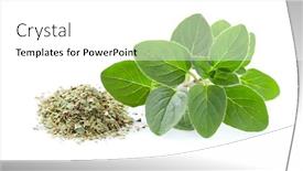  Presentation with oregano - Slide set with dried-oregano-with-fresh-leaves background and a white colored foreground