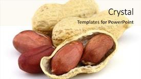  Presentation with peanut - Audience pleasing PPT layouts consisting of dried peanuts in closeup backdrop and a blonde colored foreground