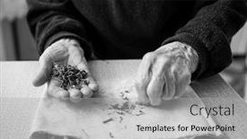  Presentation with old photo - Presentation theme consisting of dried-plants-on-an-old background and a light gray colored foreground