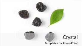  Presentation with betel leaf - PPT theme featuring dried plums and plum leaf background and a  colored foreground