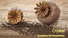 Presentation with poppy - Slides enhanced with dried poppy pods and seeds background and a tawny brown colored foreground