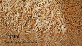  Presentation with preserved - Presentation theme having dried preserved salted fish a traditional asian food background and a red colored foreground