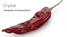  Presentation with chili - Theme having dried-red-chili-or-chilli background and a white colored foreground