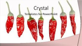  Presentation with peppers - Colorful presentation theme enhanced with dried red hot chili peppers isolated on white backdrop and a white colored foreground