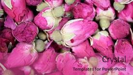  Presentation with texture - Amazing PPT theme having dried rosebuds background texture closeup backdrop and a coral colored foreground