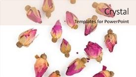  Presentation with dried herbs and dried flowers - Beautiful presentation theme featuring dried rosebuds backdrop and a lemonade colored foreground