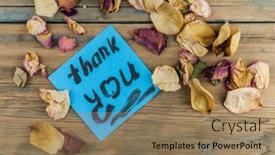  Presentation with roses - Presentation having dried-roses-and-blue-paper background and a coral colored foreground