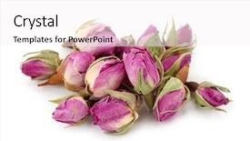  Presentation with roses - Beautiful presentation theme featuring dried roses isolated on white backdrop and a white colored foreground