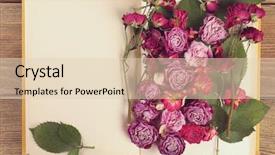  Presentation with roses - Beautiful presentation theme featuring dried roses with book top view backdrop and a lemonade colored foreground