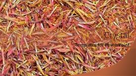  Presentation with food saffron - Colorful PPT layouts enhanced with dried saffron as food background backdrop and a red colored foreground