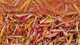  Presentation with food saffron - PPT theme having dried saffron as food background background and a red colored foreground