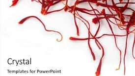  Presentation with food saffron - Audience pleasing slide set consisting of dried saffron obtained from crocus backdrop and a white colored foreground