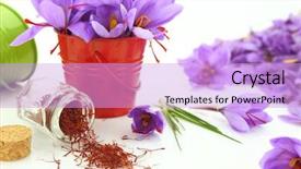  Presentation with food saffron - Beautiful slides featuring dried saffron spice and saffron backdrop and a lavender colored foreground