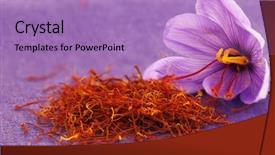  Presentation with food saffron - Beautiful PPT layouts featuring dried saffron spice and saffron backdrop and a coral colored foreground