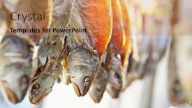  Presentation with salt - Amazing slides having dried salt fish backdrop and a coral colored foreground