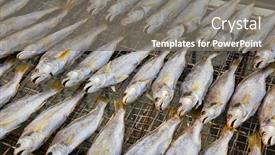  Presentation with salt water fish - PPT layouts featuring dried salt fish background and a gray colored foreground