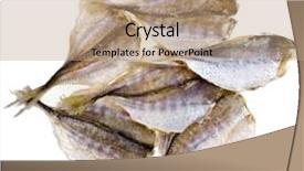  Presentation with salt water fish - Theme featuring dried salted fish for beer background and a  colored foreground