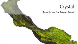  Presentation with seaweed - Slide set consisting of dried seaweed kelp close up background and a white colored foreground