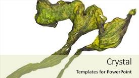  Presentation with seaweed - Cool new PPT theme with dried seaweed kelp close up backdrop and a blonde colored foreground