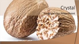  Presentation with fragrant - Cool new theme with dried seeds of fragrant nutmeg backdrop and a coral colored foreground