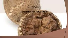  Presentation with mushroom - Cool new PPT layouts with dried-shiitake-mushroom-isolated-over backdrop and a coral colored foreground