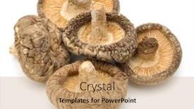  Presentation with mushroom - Presentation theme consisting of dried-shiitake-mushroom-isolated-over background and a coral colored foreground