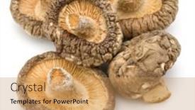  Presentation with mushroom - Presentation theme with dried-shiitake-mushroom-isolated-over background and a coral colored foreground