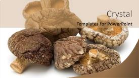  Presentation with mushroom - Presentation enhanced with dried-shiitake-mushroom-isolated-over background and a coral colored foreground