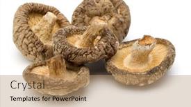  Presentation with mushroom - PPT layouts with dried-shiitake-mushroom-isolated-over background and a coral colored foreground