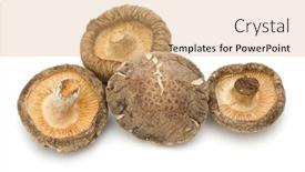  Presentation with mushroom - Beautiful PPT theme featuring dried-shiitake-mushroom-isolated backdrop and a coral colored foreground