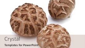 Presentation with mushrooms - PPT theme consisting of dried-shiitake-mushrooms-isolated background and a coral colored foreground
