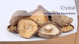  Presentation with mushroom - Presentation design featuring dried-shiitake-mushrooms-isolated background and a sky blue colored foreground