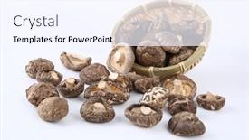  Presentation with frames isolated on white brown - Slide deck consisting of dried-shiitake-mushrooms-isolated background and a sky blue colored foreground