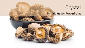  Presentation with mushrooms - Presentation theme having dried-shiitake-mushrooms-isolated background and a coral colored foreground