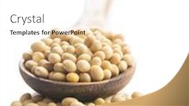  Presentation with soy - PPT theme consisting of dried-soy-beans-in-wooden background and a white colored foreground