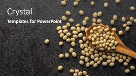  Presentation with soy - PPT theme featuring dried-soy-beans-in-wooden background and a dark gray colored foreground