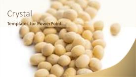  Presentation with soy - Beautiful PPT layouts featuring dried-soy-beans-isolated backdrop and a cream colored foreground