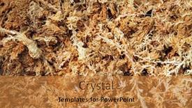  Presentation with moss - Slide set featuring dried-sphagnum-moss background and a gold colored foreground