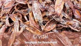  Presentation with set of dried herbs - Colorful PPT layouts enhanced with dried-squid backdrop and a coral colored foreground