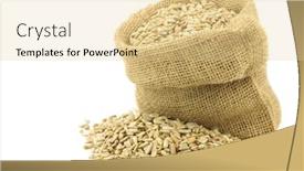  Presentation with sunflower sunflower sunflower sunflower sunflower - Colorful theme enhanced with storage food grain - dried sunflower seeds backdrop and a blonde colored foreground