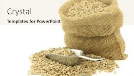  Presentation with sunflower sunflower sunflower sunflower sunflower - Cool new PPT theme with storage food grain - dried sunflower seeds backdrop and a lemonade colored foreground