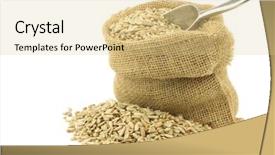  Presentation with sunflower sunflower sunflower sunflower sunflower - Amazing theme having dried sunflower seeds in a burlap bag with an aluminum scoop on a white background backdrop and a lemonade colored foreground