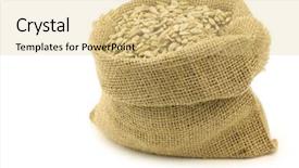  Presentation with seeds - Beautiful slides featuring dried sunflower seeds in a burlap bag on a white background backdrop and a blonde colored foreground