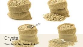  Presentation with seeds - Colorful presentation enhanced with dried-sunflower-seeds backdrop and a lemonade colored foreground