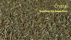  Presentation with thyme - Colorful slide deck enhanced with dried-thyme-close-up-full backdrop and a tawny brown colored foreground