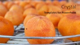  Presentation with sun - Colorful PPT layouts enhanced with dried-up-persimmon-under backdrop and a gold colored foreground